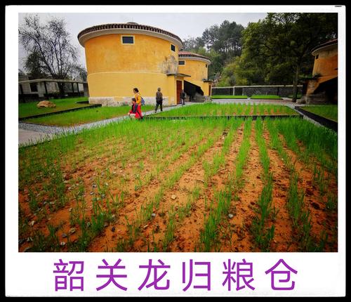 广东韶关龙归粮仓