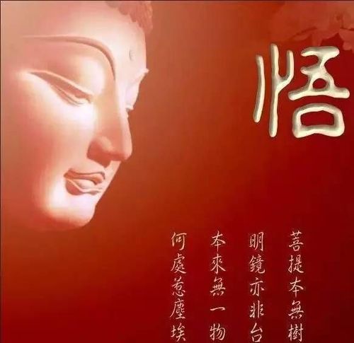佛语图文图片