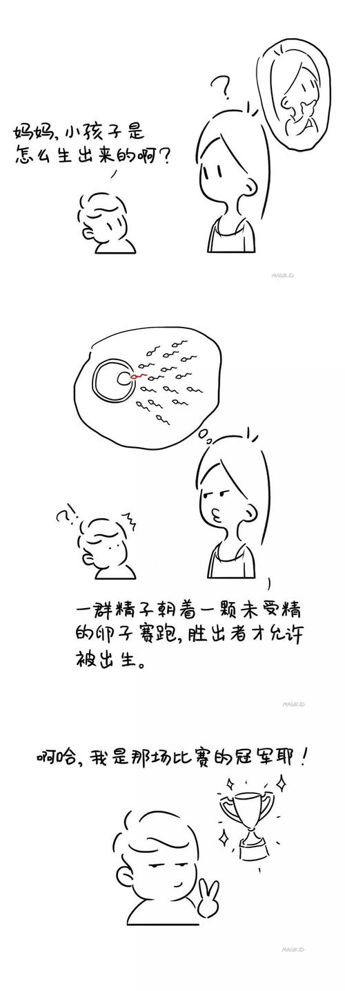 你如何回答孩子:我从哪里来?
