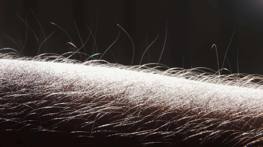 人体汗毛寒毛竖起毛发人体特写_3840x2160_高清视频