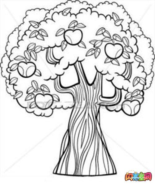 简笔画树上苹果