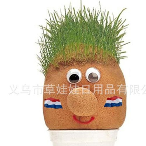 草娃娃 定做草娃娃 草头娃娃 中东 大头娃娃 青草种植小礼品