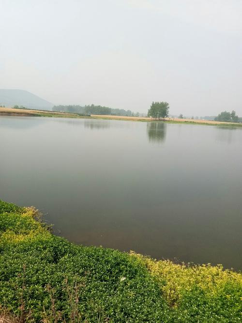 河南省驻马店市遂平县建设路靠近遂平县交通路政管理所天气预报