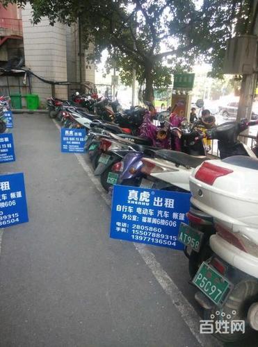 真虎自行车出租,电动车出租,汽车出租,帐篷