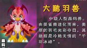 大鹏羽兽 -     介绍 朱雀兽—婴雀兽—大鹏羽兽—亚马森林神兽