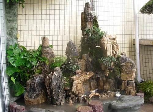 适合在室内假山上种植的植物