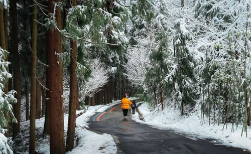 彭州的雪安排好了,你确定不来?