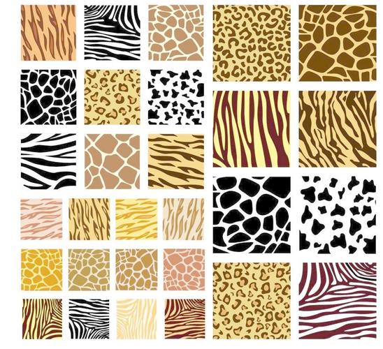 各种动物皮毛花纹