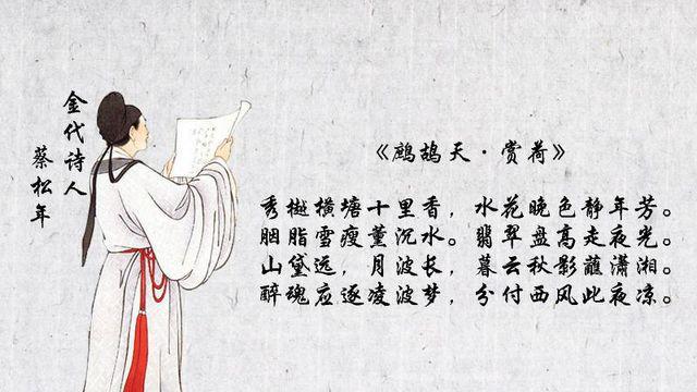 "鹧鸪天"系列古词欣赏(第一课)