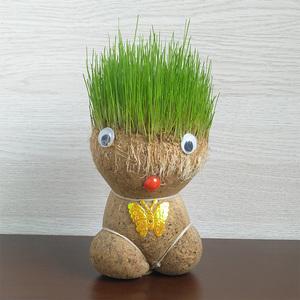 diy办公室迷你植物小盆栽绿色青草种植表情大象方盆草头娃娃儿童