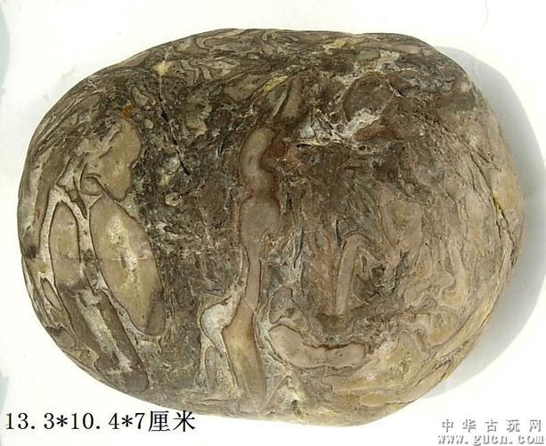 长江三峡水冲奇石天然硅化木古生物辉木树化石雨花原石摆件收藏品