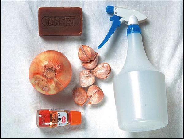 "虫虫危机"—— 8招诊断,12招自制天然杀虫剂,种菜养