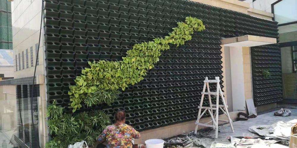 2019垂直绿化的植物墙做法解析