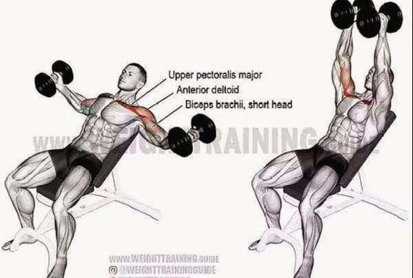 国际标准胸肌训练图解,在家也能练出强壮胸肌