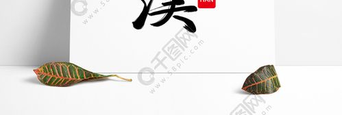 黑色枯墨手写毛笔字汉艺术字