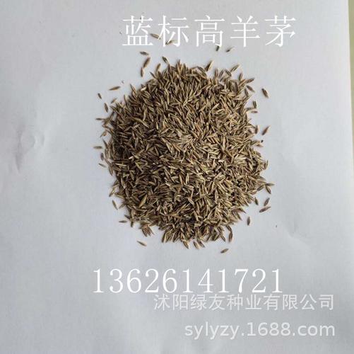 草籽品种公布