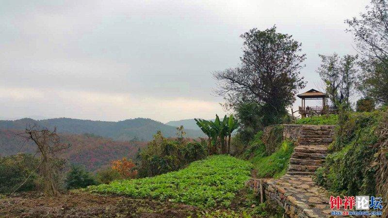 远安翟家岭(漫山红叶的美)