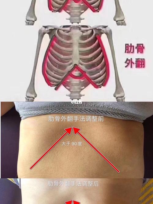 为什么产后肋骨收缩一定不能少6015_胎儿_肋骨外翻_孕期_moon