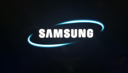 三星logo(引自skp.samsungcsportal)