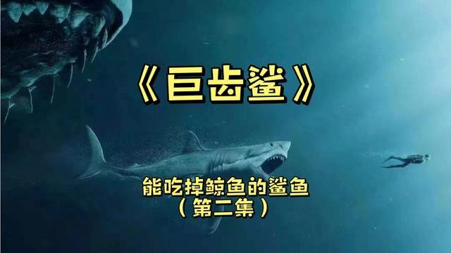 巨齿鲨到底有多恐怖竟然可以吃掉目前最大的鲨鱼