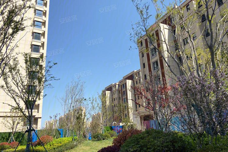 东台碧桂园新城天樾府-实景图(5) - 东台安居客