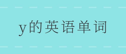 以y开头的英语单词