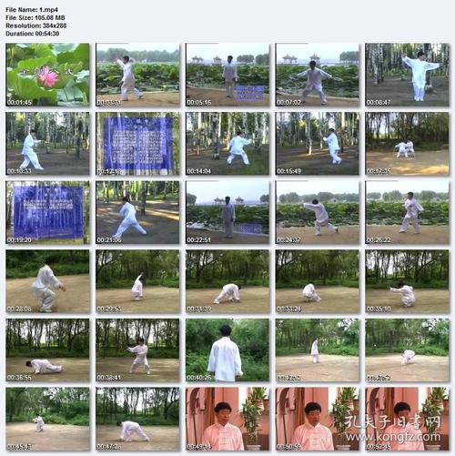 长春霍氏八极拳 9vcd