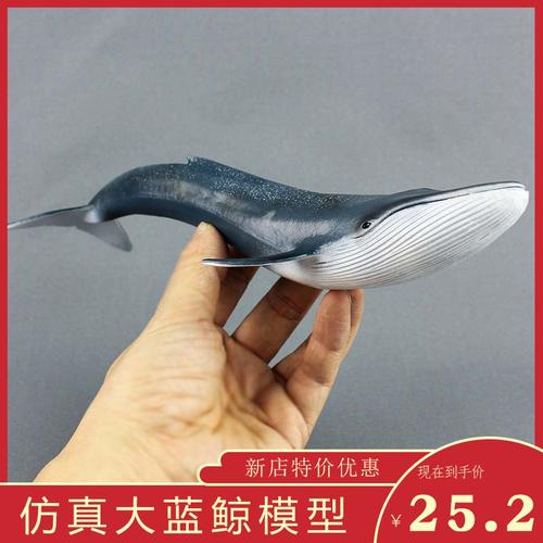 大号鲸鱼仿真海洋动物蓝鲸模型玩具塑胶实心摆件儿童男海底总动员