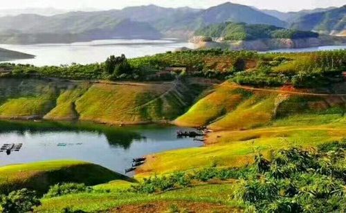 央视辽宁卫视节目拍摄基地丹东小韭菜沟七队!她是丹东