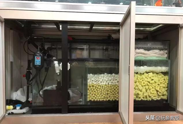 硝化细菌怎么用在鱼缸?硝化细菌培养教学