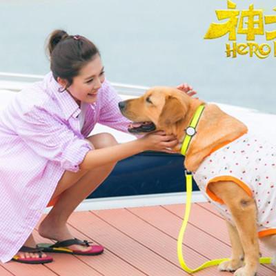 图神犬小七欧叶叫什么名字该剧以动物视角体现温情大获好评