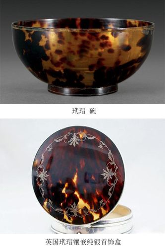 玳瑁收藏吉祥长寿的象征