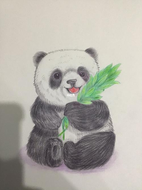 大熊猫_彩铅_手绘_彩铅手绘_文化_绘画