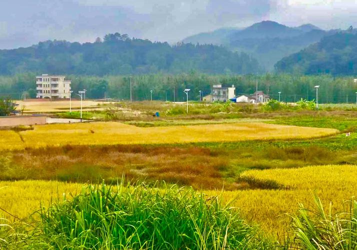 从化吕田桂峰村风彩