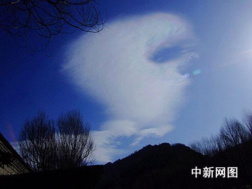 奇!北京圣泉寺放生后菩萨显圣于天空