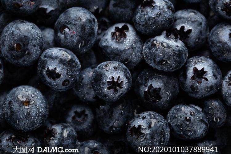 经过清洗后的新鲜蓝莓摄影高清图片