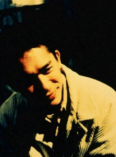 梁朝伟 tony leung chiu wai的图片