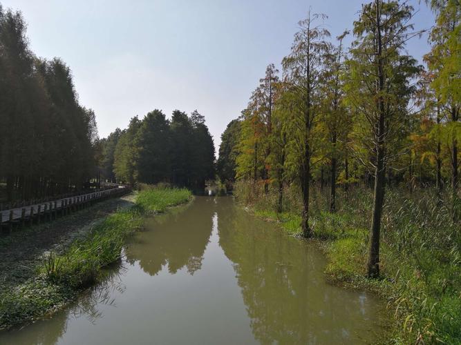 游上海青西郊野公园