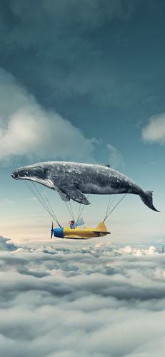 苹果手机壁纸尺寸(24张适合iphone xr/xs壁纸推荐)