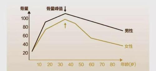 年纪越大,骨量流失越重,如何留住骨量让骨头变硬?