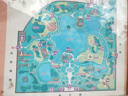 2016兴庆宫公园_旅游攻略_门票_地址_游记点评,西安