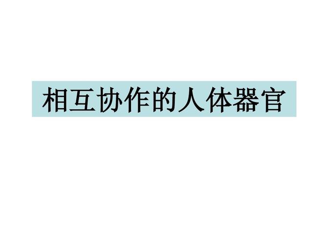 相互协作的人体器官ppt