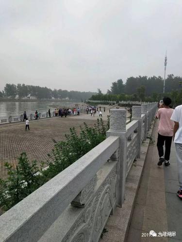 今天早上建湖上冈公园河里发现一个女尸浮在湖里.
