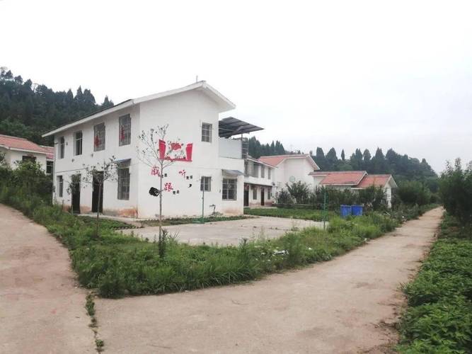 荷叶乡定水村:蔬菜产业助脱贫 生态宜居村庄美