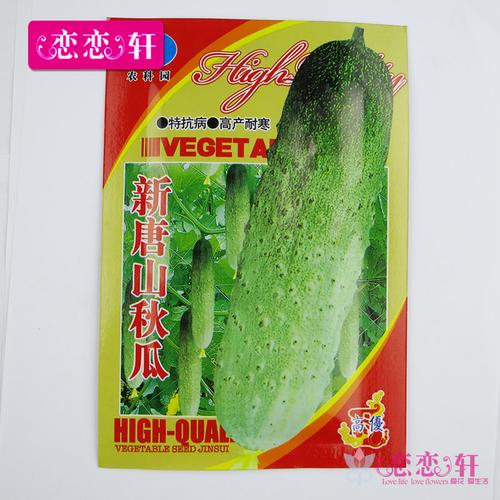 秋黄瓜种子 限时特卖