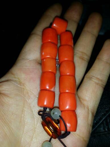 谁懂红珊瑚的,帮忙看看是真是假,谢谢