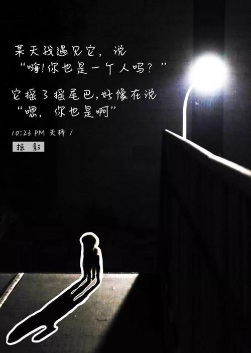 之前我不喜欢孤独,现在想想孤独这个东西还是挺好的