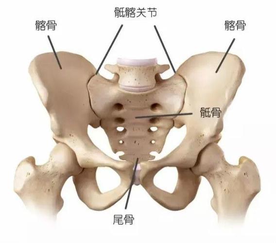 髂骨致密性骨炎是一种什么病