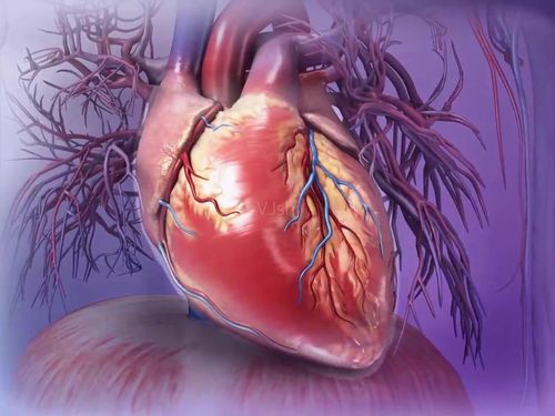 医学三维人体心脏跳动模拟过程