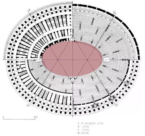 大角斗场平面图 《世界城市史》